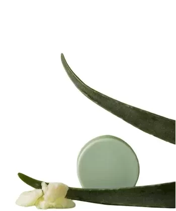 Barre après-shampooing Aloe Vera Love