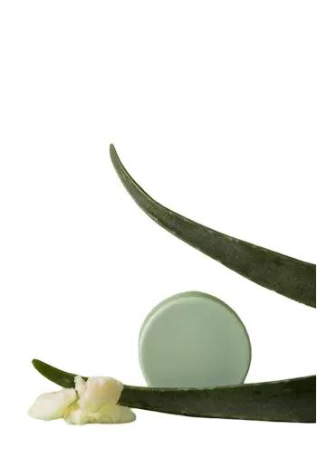 Barre après-shampooing Aloe Vera Love