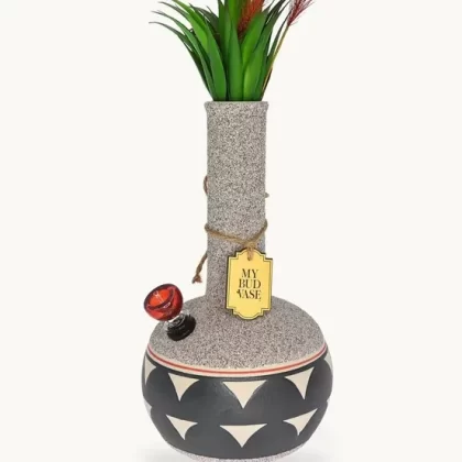 Coyōté by My Bud Vase