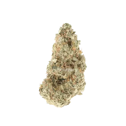 C4