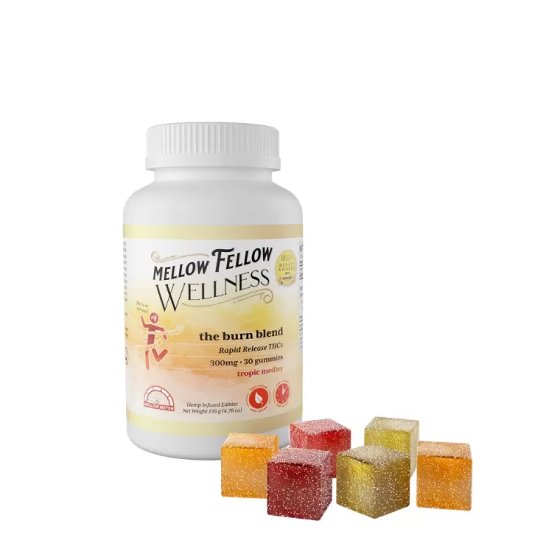 Well Gum Burn 300Mg - Image 2