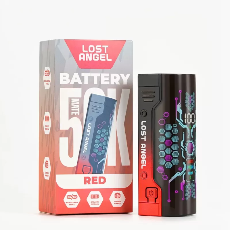 Lost Angel Mate Battery 1000mAh with LED Display