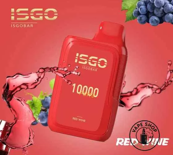 ISGO BAR 10000 Puffs 5% Nicotine Disposable Vape In Dubai - Image 2