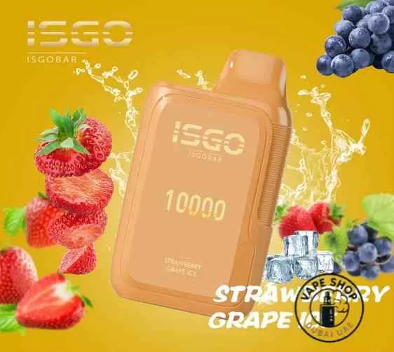 ISGO BAR 10000 Puffs 5% Nicotine Disposable Vape In Dubai - Image 3
