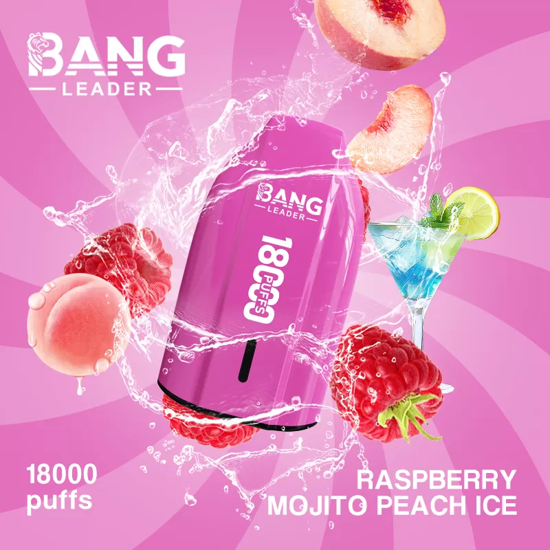 Bang Leader 18000 – 18K Puffs 1.0Ω Mesh Coil 650mAh Disposable Vape - Image 2