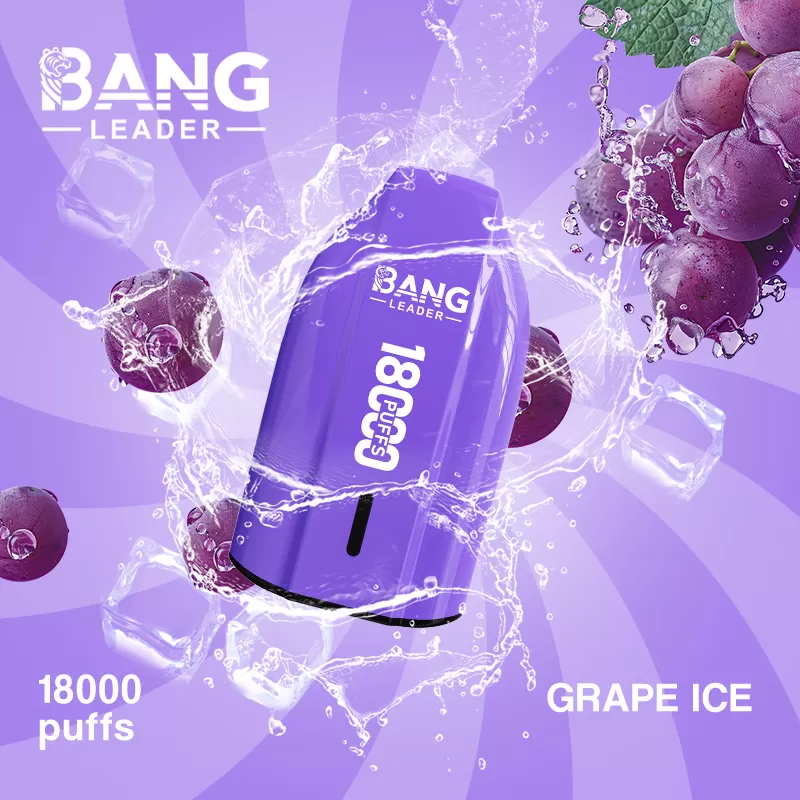 Bang Leader 18000 – 18K Puffs 1.0Ω Mesh Coil 650mAh Disposable Vape - Image 3
