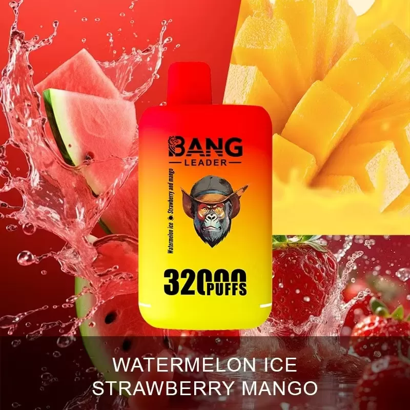 Bang Leader 32000 – 32K Puffs 28ml×2 E-liquid Dual Flavors Disposable - Image 2