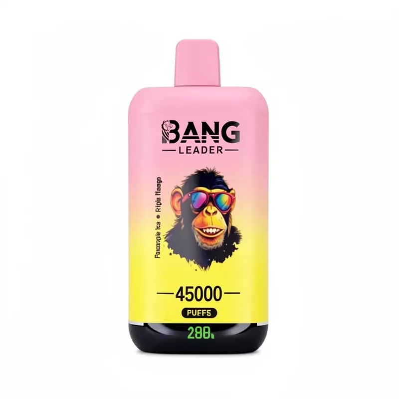 Bang Leader 45000 Puffs Double Flavors 45k Disposable Vape