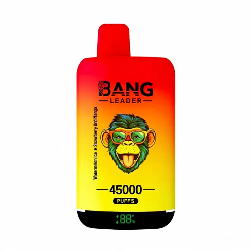 Bang Leader 45000 Puffs Double Flavors 45k Disposable Vape - Image 2
