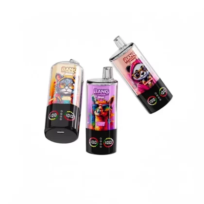 Bang Leader Stoll 100000 Puffs 4-in-1 Disposable Vape