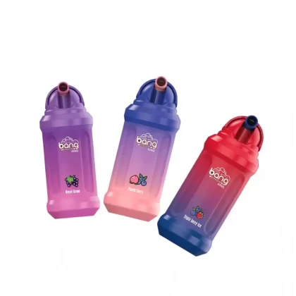 Bang King 12000 Puffs Rechargeable Disposable Vape