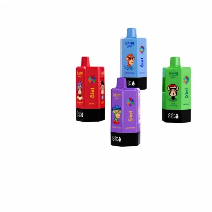 Bang Leader Stoll 300K 6 in 1 Flavors Disposable Vape