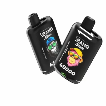 Bang Leader Stoll 60000 Puffs Double Flavors Smart LED Vape