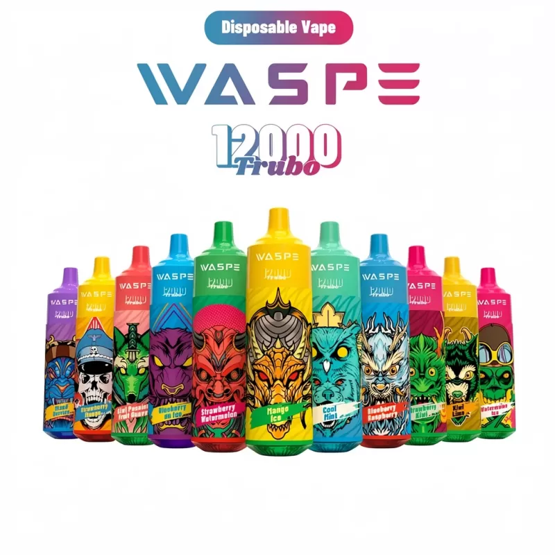 WASPE 12000 Puffs Disposable Vape 12K Type-C