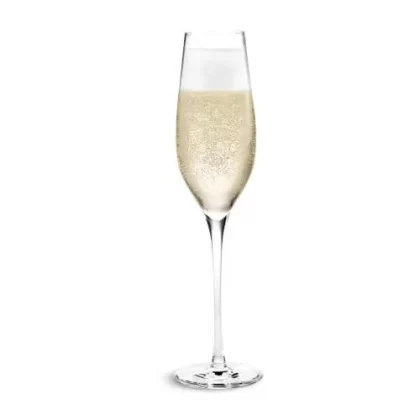 The Flavor Apprentice – Champaign 15mL