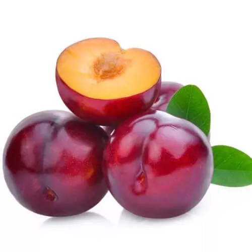 LorAnn – Plum 15mL