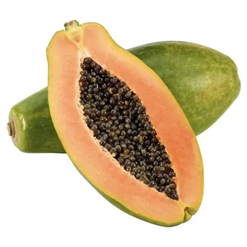 Lebermuth – Papaya Flavoring 15ml
