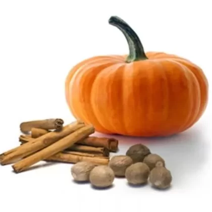 The Flavor Apprentice – Pumpkin Spice 15mL