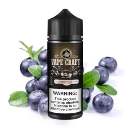 Blueberry Custard
