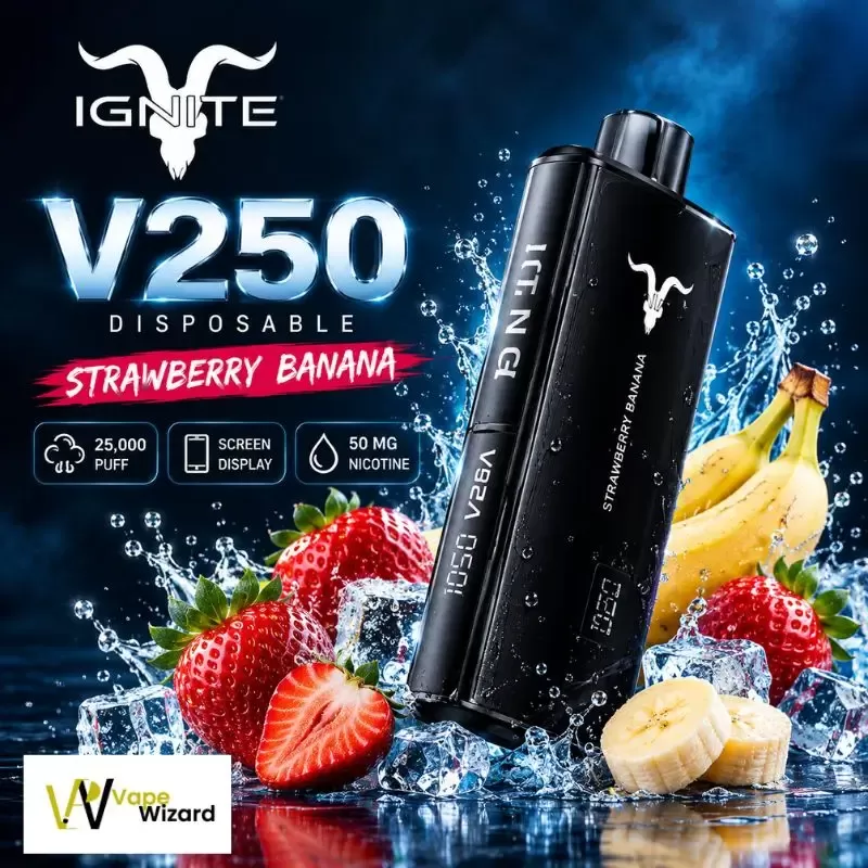 IGNITE V250 Disposable Vape 25K PUFFS in Dubai UAE - Image 2