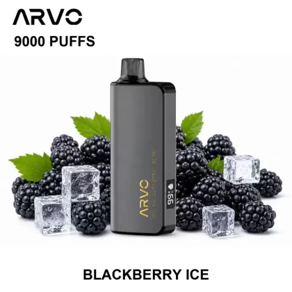 ARVO 9000 PUFFS – Blackberry Ice