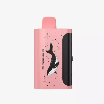 PICCO STAR 40000 Puffs – Watermelon Ice