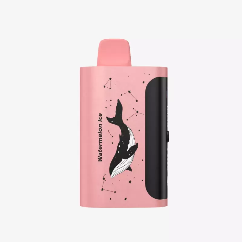 PICCO STAR 40000 Puffs – Watermelon Ice