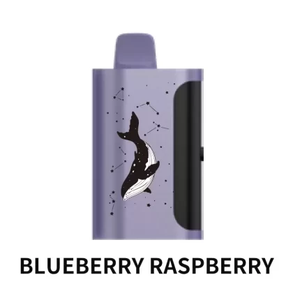 PICCO STAR 40000 Puffs – Blueberry Raspberry