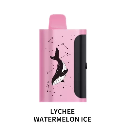 PICCO STAR 40000 Puffs – Lychee Watermelon Ice