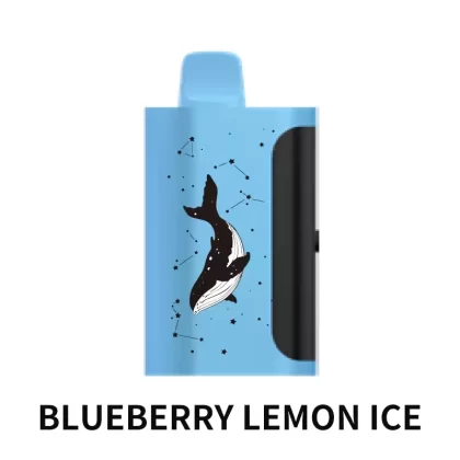PICCO STAR 40000 Puffs – Blueberry Lemon Ice