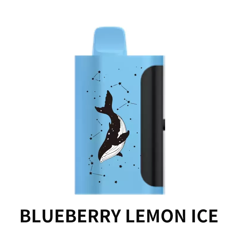 PICCO STAR 40000 Puffs – Blueberry Lemon Ice