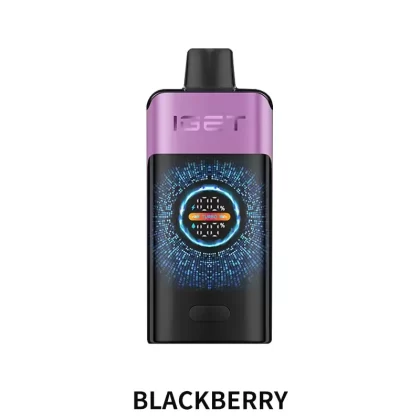 IGET ONE 12000 Puffs – Chuppa Chupps Blackberry
