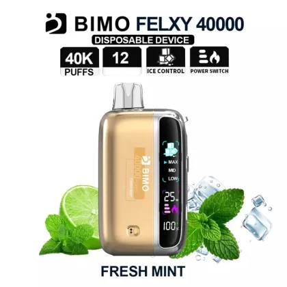 BIMO Felxy 40000 Kit – Fresh Mint