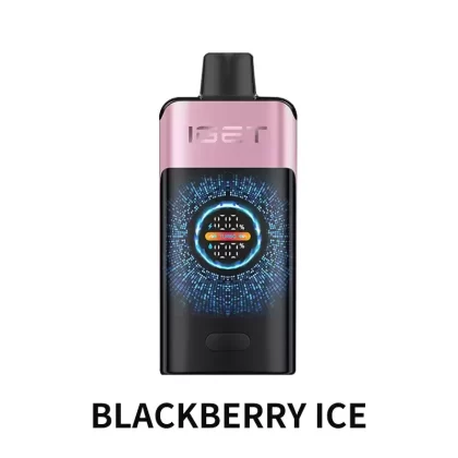 IGET ONE 12000 Puffs – Blackberry Ice