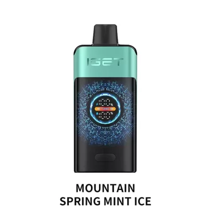IGET ONE 12000 Puffs – Mountain Spring Mint Ice