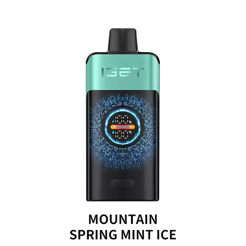 IGET ONE 12000 Puffs – Mountain Spring Mint Ice