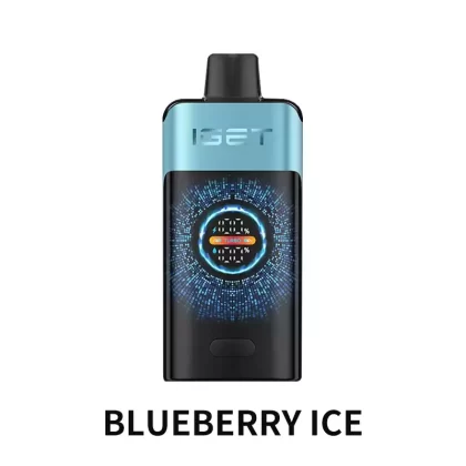 IGET ONE 12000 Puffs – Blueberry Ice