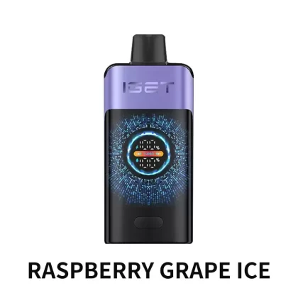 IGET ONE 12000 Puffs – Raspberry Grape Ice