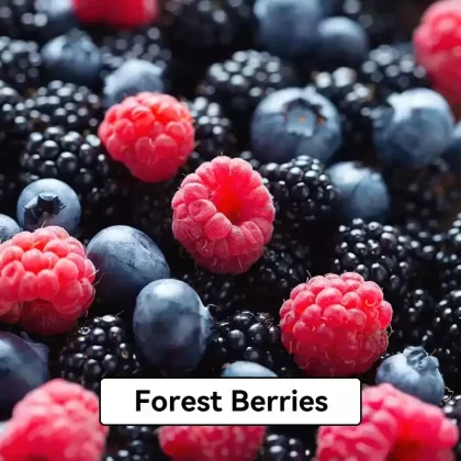 Relx Infinity Pod Gen6 2 pods pack – Forest Berries