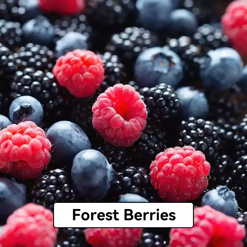 Relx Infinity Pod Gen6 2 pods pack – Forest Berries
