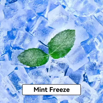 Relx Infinity Pod Gen6 2 pods pack – Mint Freeze