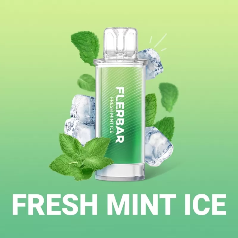 Flerbar Pods – Fresh Mint Ice – Prefilled Liquid Pod – 2er Pack