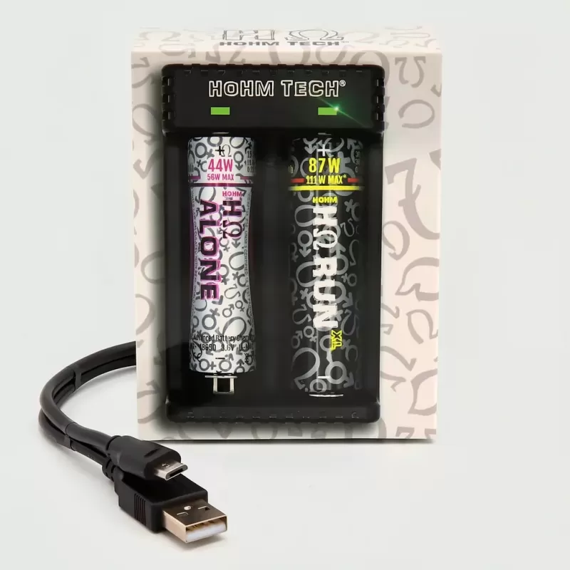 HOHM SCHOOL 2A 2 Bay Battery Charger – 0.5V Li-Ion Recovery - Image 2