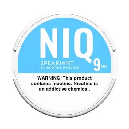 NIQ Spear Mint Nicotine Pouches