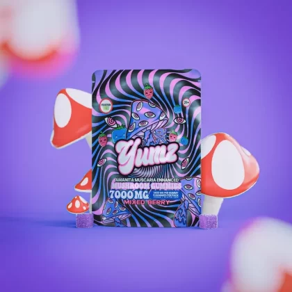 YUMZ – Mixed Berry ( Amanita Muscaria Mushroom Gummies )