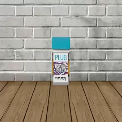 Plugplay X RNBW AIO HHC-9 Festival Blend Disposable Vape 1g