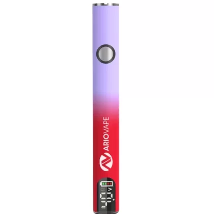 Digital Classic Cartridge Battery