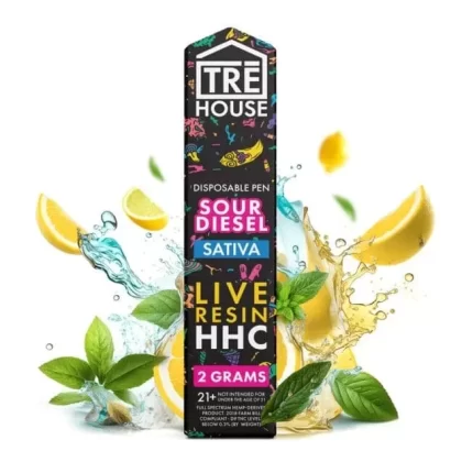 TreHouse HHC Disposable Vape Sour Diesel 2G | Rokin
