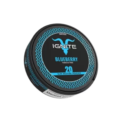 Blueberry Bliss 20 mg Slim Nikotinbeutel – 20 Stück