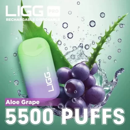 Ligg Pro 5500 Puffs Disposable Vape – Aloe Grape